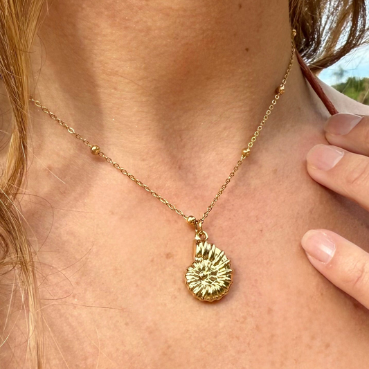 Seekers Shell Necklace
