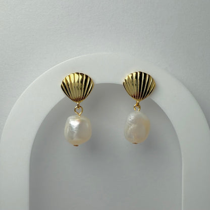 Dawn Shell Earrings