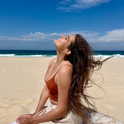 Sundial Shell Stud Earrings